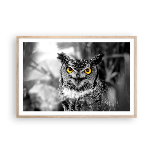 Plakat w ramie jasny dąb - Nic się nie ukryje - 91x61 cm