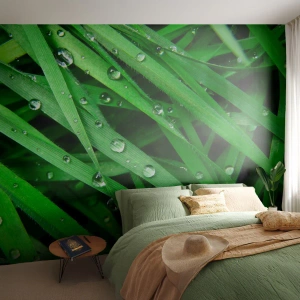 Fototapeta Samoprzylepna Deluxe Sticker - Zagraj w zielone - Natura, Zielona Trawa, Ogród - 250x175 cm