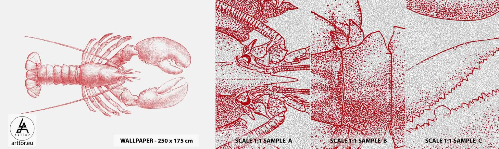 Fototapeta Próbka Premium Sand - Homar godny Homera - Homar, Owoce Morza, Skorupiak - 100x30 cm
