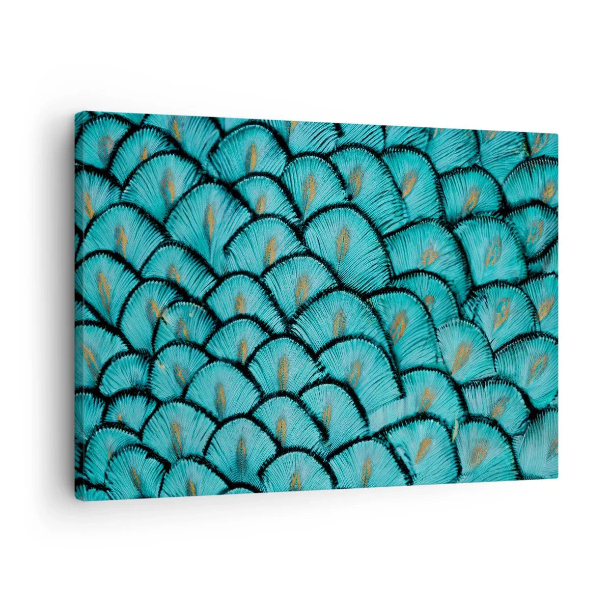 Obraz na płótnie - Wzór przypominający turkusowe łuski z akcentami złota - 70x50cm - Wielka gala piór - Nowoczesna dekoracja ścienna do salonu i sypialni ARTTOR