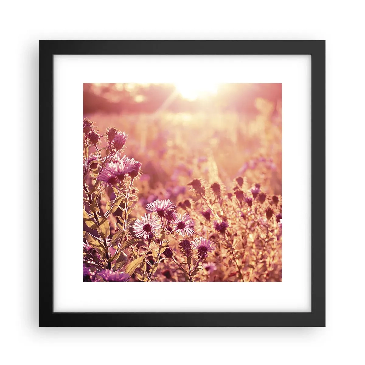 Plakat w czarnej ramie - Przed odejściem lata - 30x30 cm