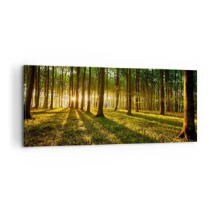 Obraz na płótnie - Zachodzące słońce w lesie liściastym - 120x50cm - Fotografia wszystkich wiosen - Nowoczesna dekoracja ścienna do salonu i sypialni ARTTOR