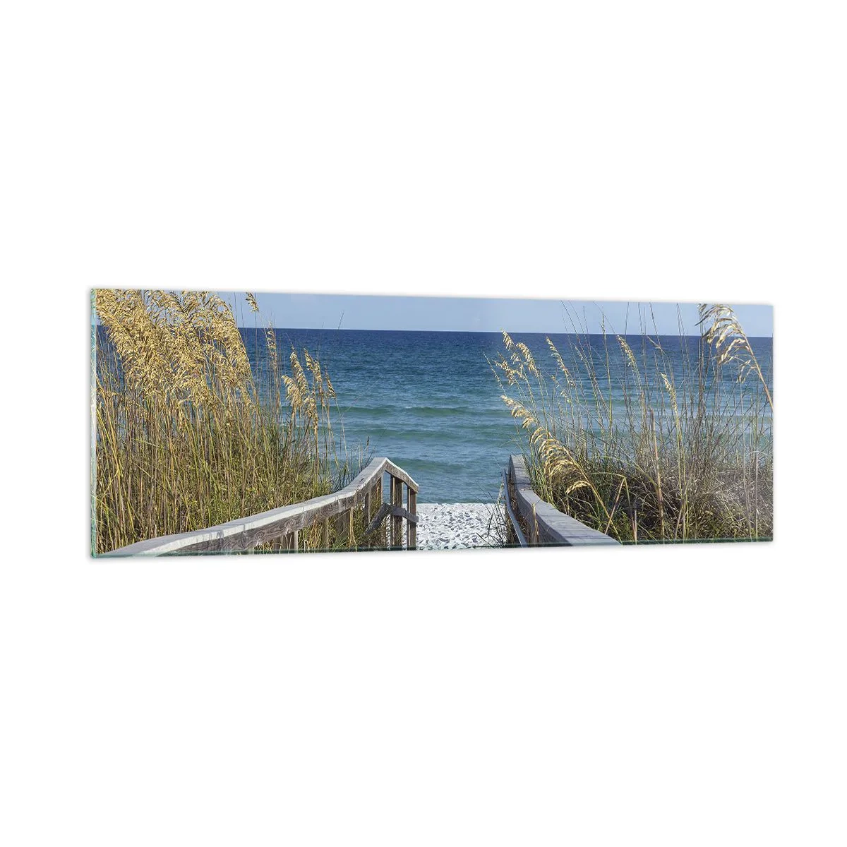 Obraz na szkle - W słońcu, na wietrze - 90x30 cm