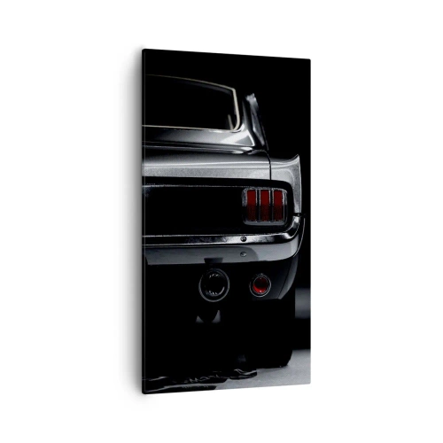 Obraz na płótnie - Czar klasyki - 55x100 cm