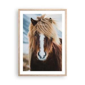 Plakat w ramie jasny dąb - Czujesz wolność? - 50x70 cm