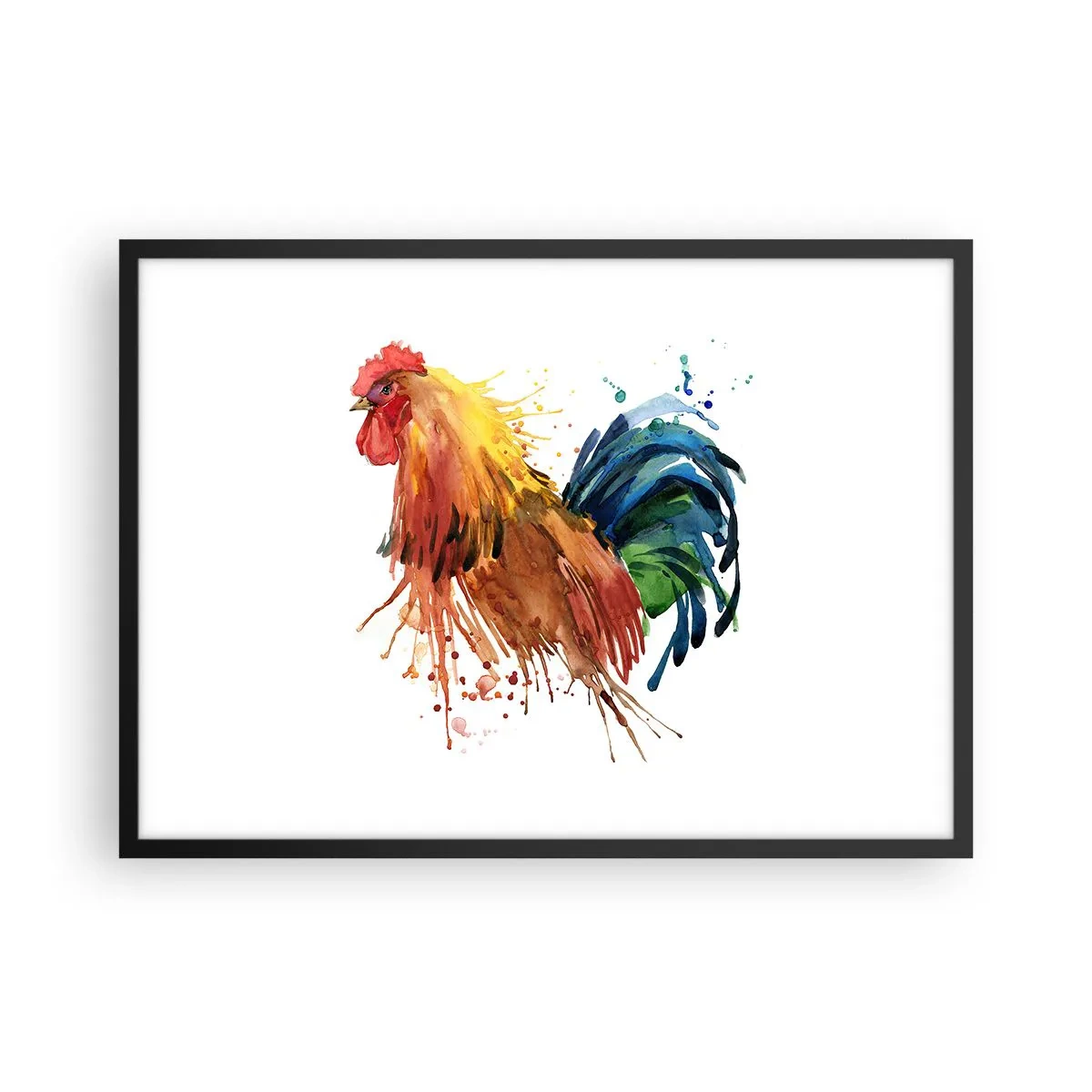 Plakat w czarnej ramie - Kolorowy kogut w akwarelowym stylu - 70x50cm - Królewska szata, królewska duma - Nowoczesna dekoracja ścienna do salonu i sypialni ARTTOR