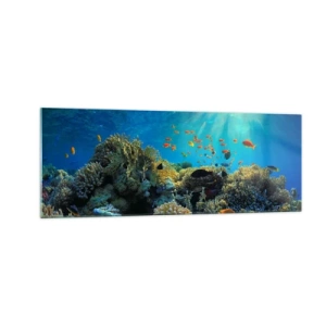 Obraz na szkle - Rafa koralowa z rybami w promieniach słońca pod wodą - 140x50cm - Podwodne skarby - Nowoczesna dekoracja ścienna do salonu i sypialni ARTTOR