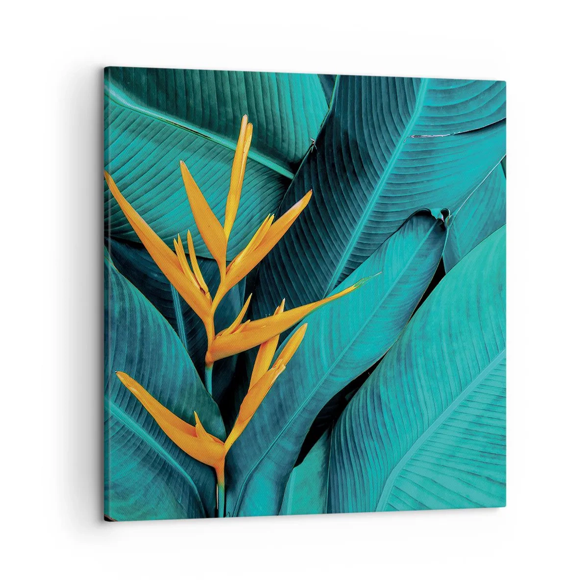 Obraz na płótnie - Kwiat Edenu - 50x50 cm