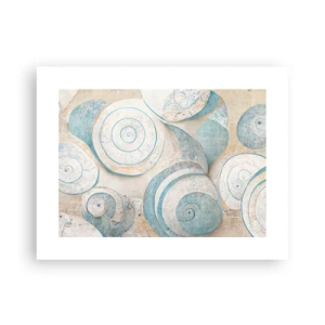Plakat - Co kryje muszla? - 40x30 cm