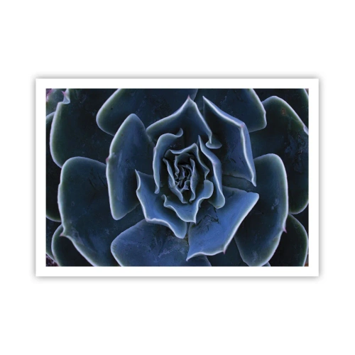 Plakat - Zbliżenie na rozetę zielonego sukulentu - 100x70cm - Kwiat pustyni - Nowoczesna dekoracja ścienna do salonu i sypialni ARTTOR