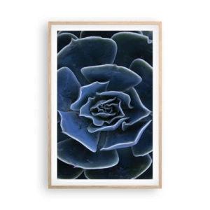 Plakat w ramie jasny dąb - Kwiat pustyni - 61x91 cm