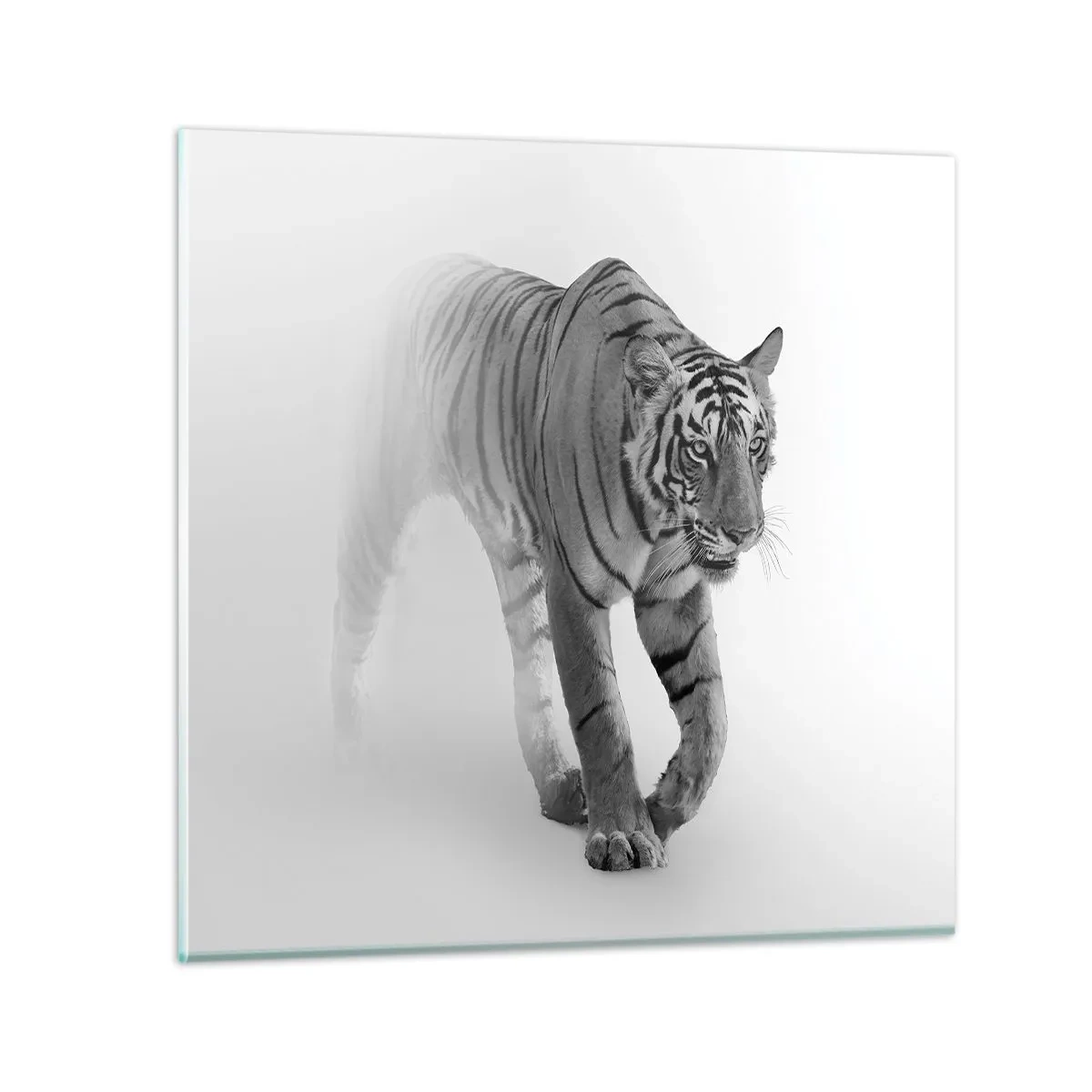 Obraz na szkle - Przyczajony we mgle - 50x50 cm