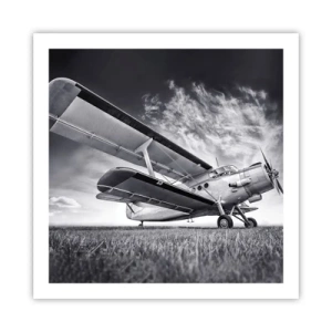 Plakat - Skrzydlaty wędrowiec - 60x60 cm