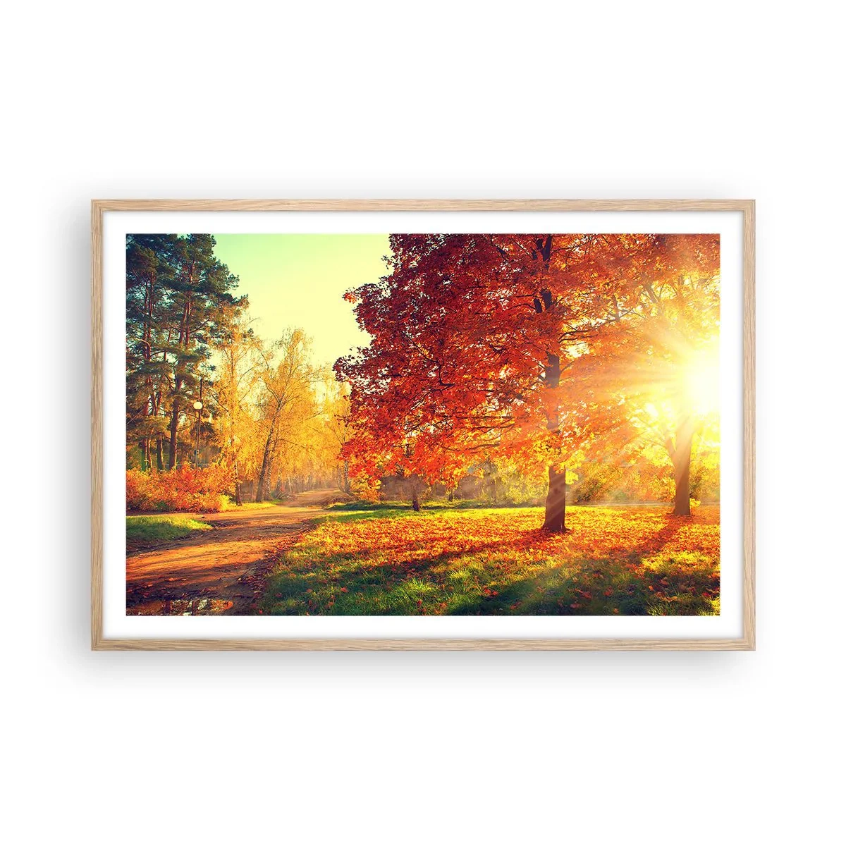 Plakat w ramie jasny dąb - Rude jest piękne - 91x61 cm