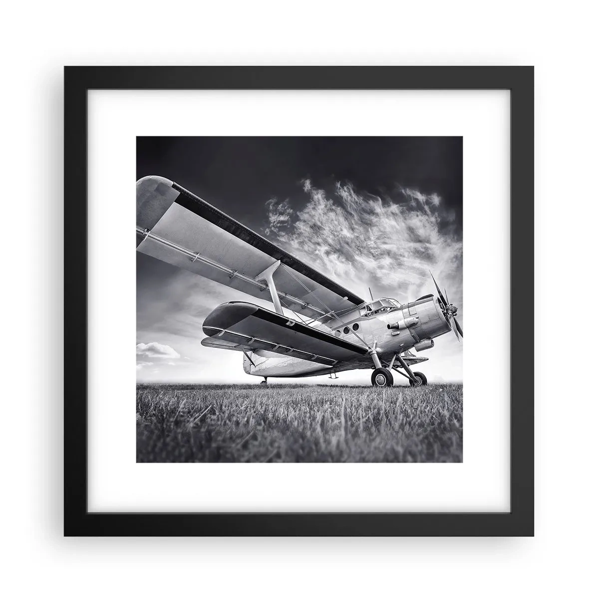 Plakat w czarnej ramie - Skrzydlaty wędrowiec - 30x30 cm