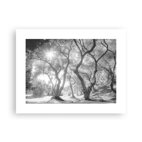 Plakat - W oliwnym gaju - 40x30 cm