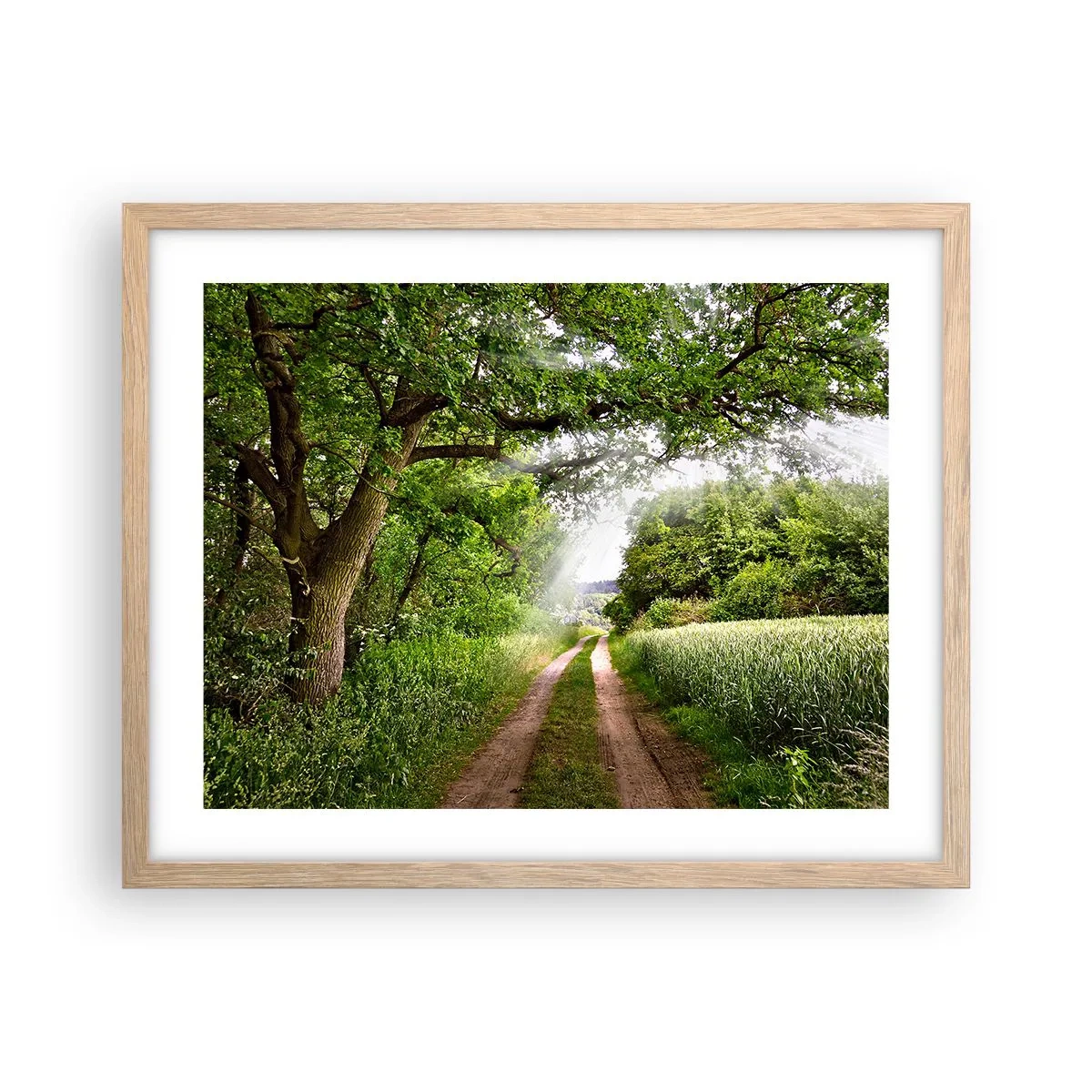 Plakat w ramie jasny dąb - Et in Arcadia ego - 50x40 cm