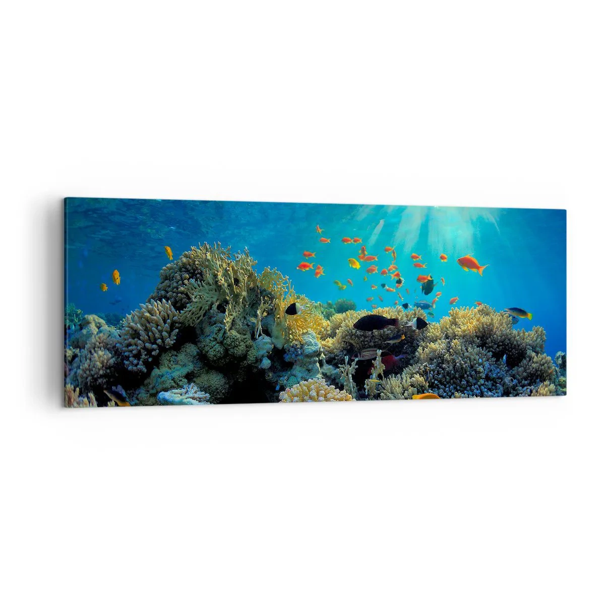 Obraz na płótnie - Rafa koralowa z rybami w promieniach słońca pod wodą - 140x50cm - Podwodne skarby - Nowoczesna dekoracja ścienna do salonu i sypialni ARTTOR