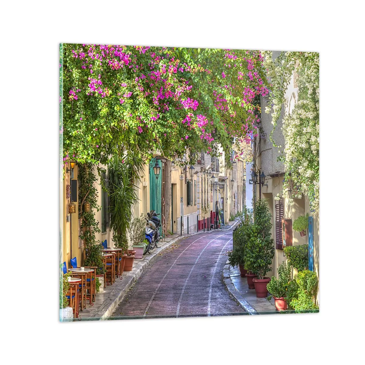 Obraz na szkle - Kwitnący zaułek - 60x60 cm