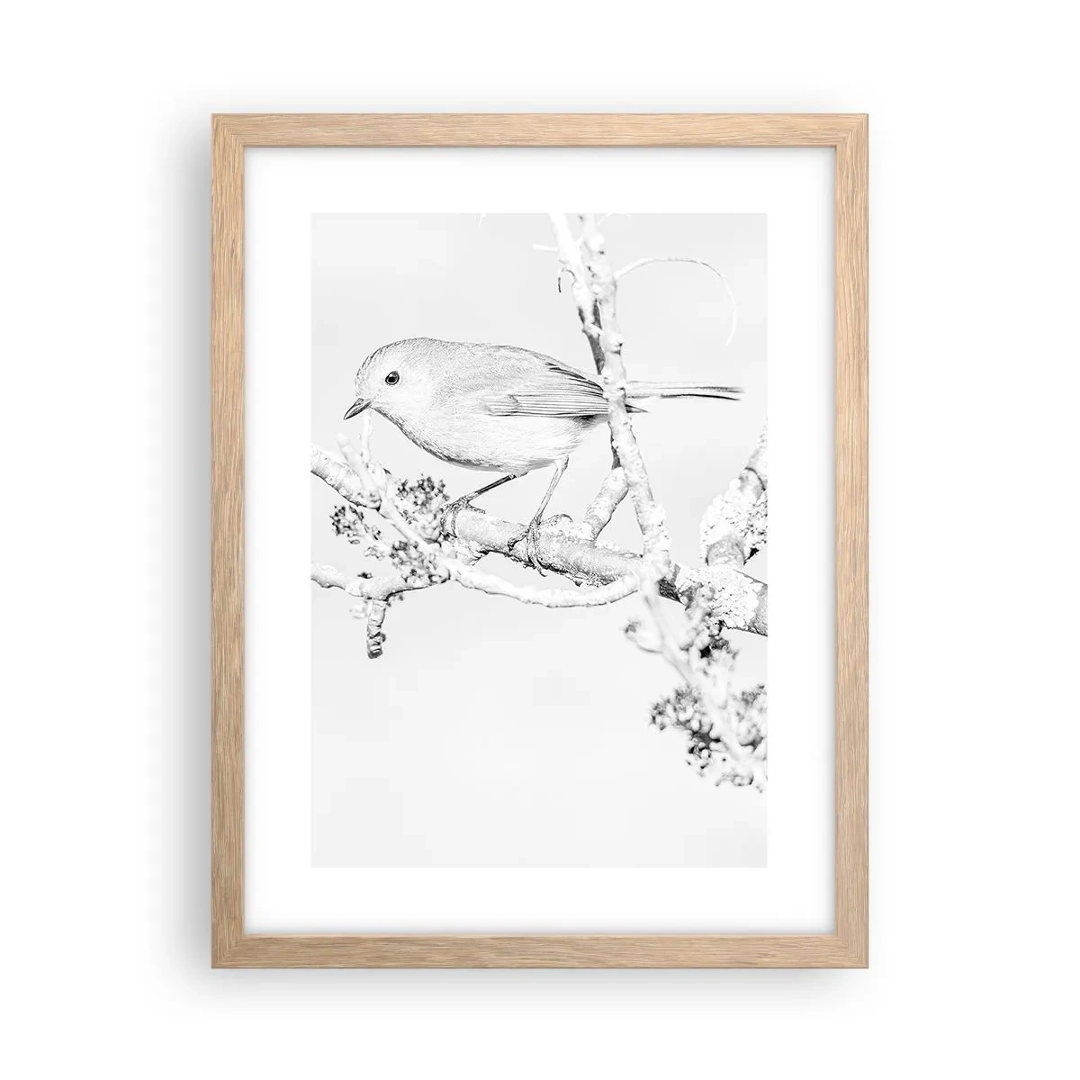 Plakat w ramie jasny dąb - Zimowy poranek - 30x40 cm