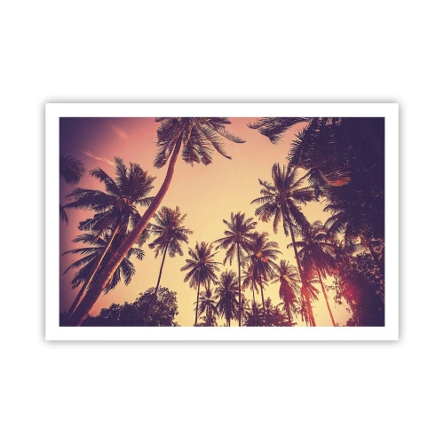 Plakat - Tropikalna wariacja - 91x61 cm