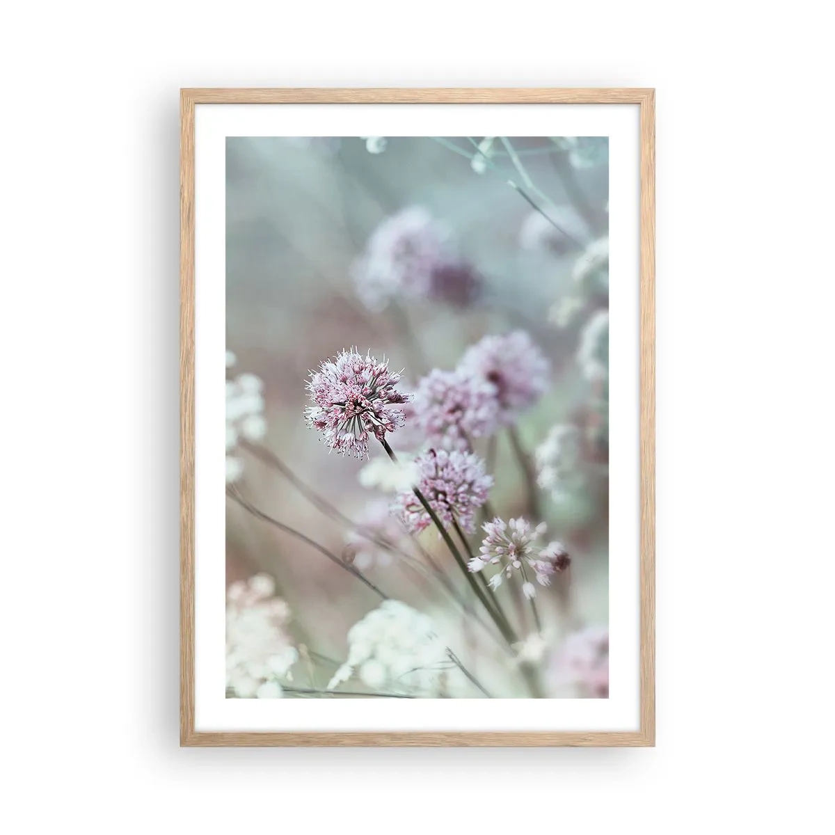 Plakat w ramie jasny dąb - Słodkie filigrany ziół - 50x70 cm