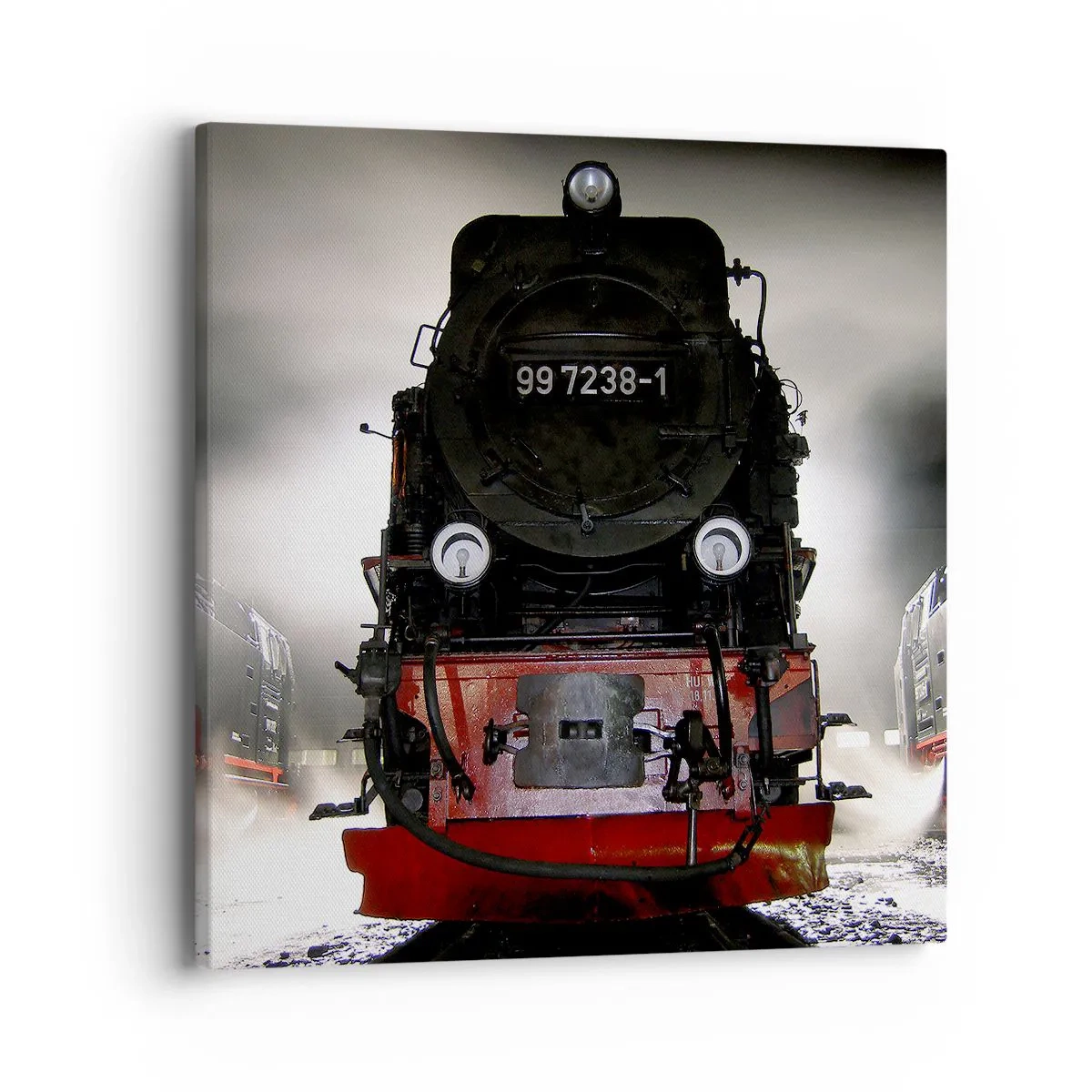 Obraz na płótnie - Stoi i sapie, dyszy i dmucha - 40x40 cm