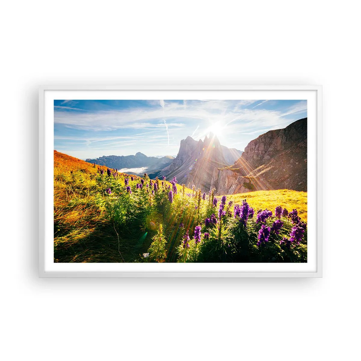 Plakat w białej ramie - Sekretne życie ziół - 91x61 cm