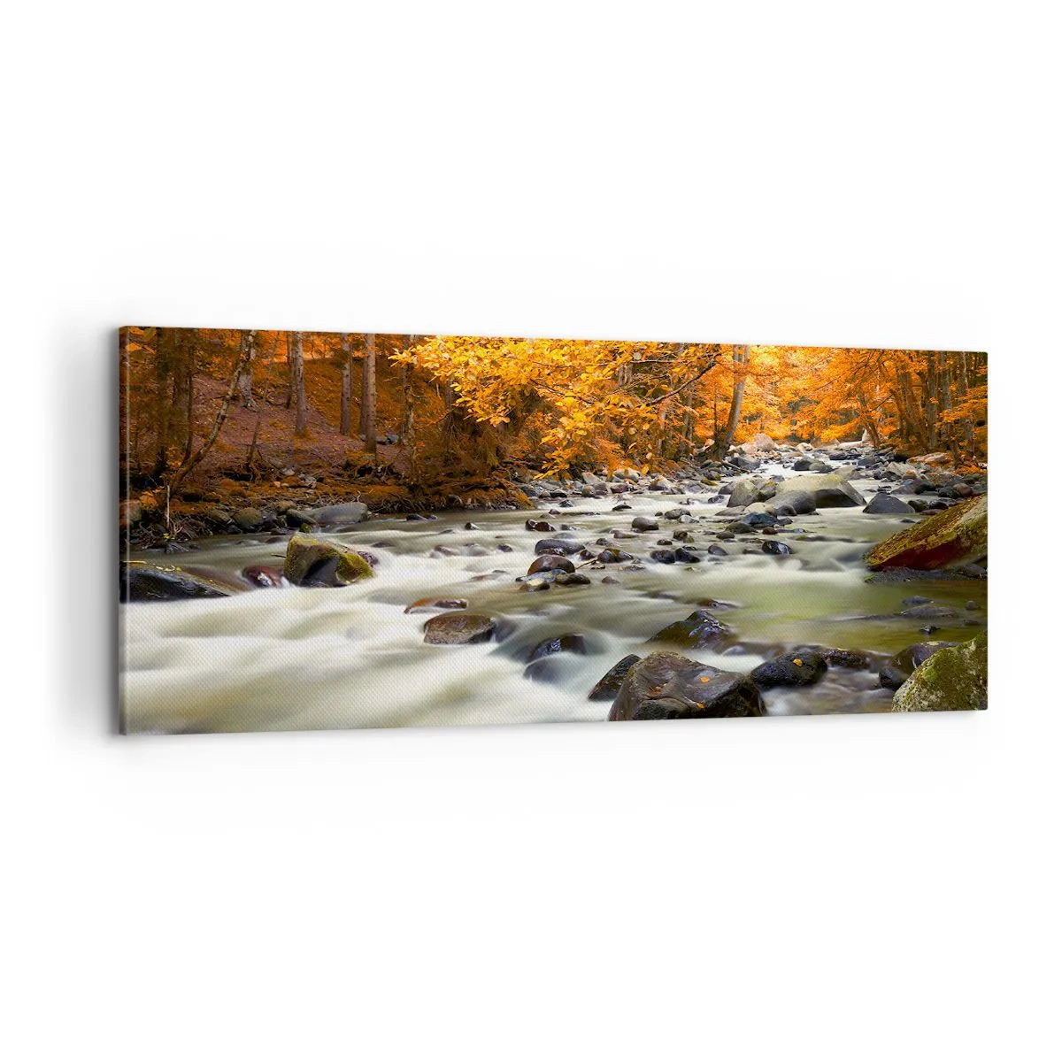 Obraz na płótnie - Potok w złotym lesie - 100x40 cm