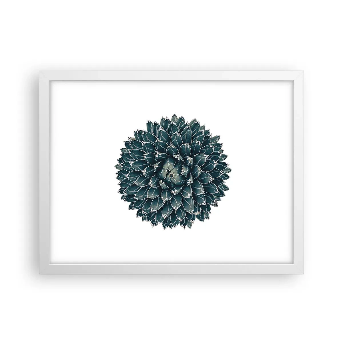 Plakat w białej ramie - Gwiazda pustyni - 40x30 cm