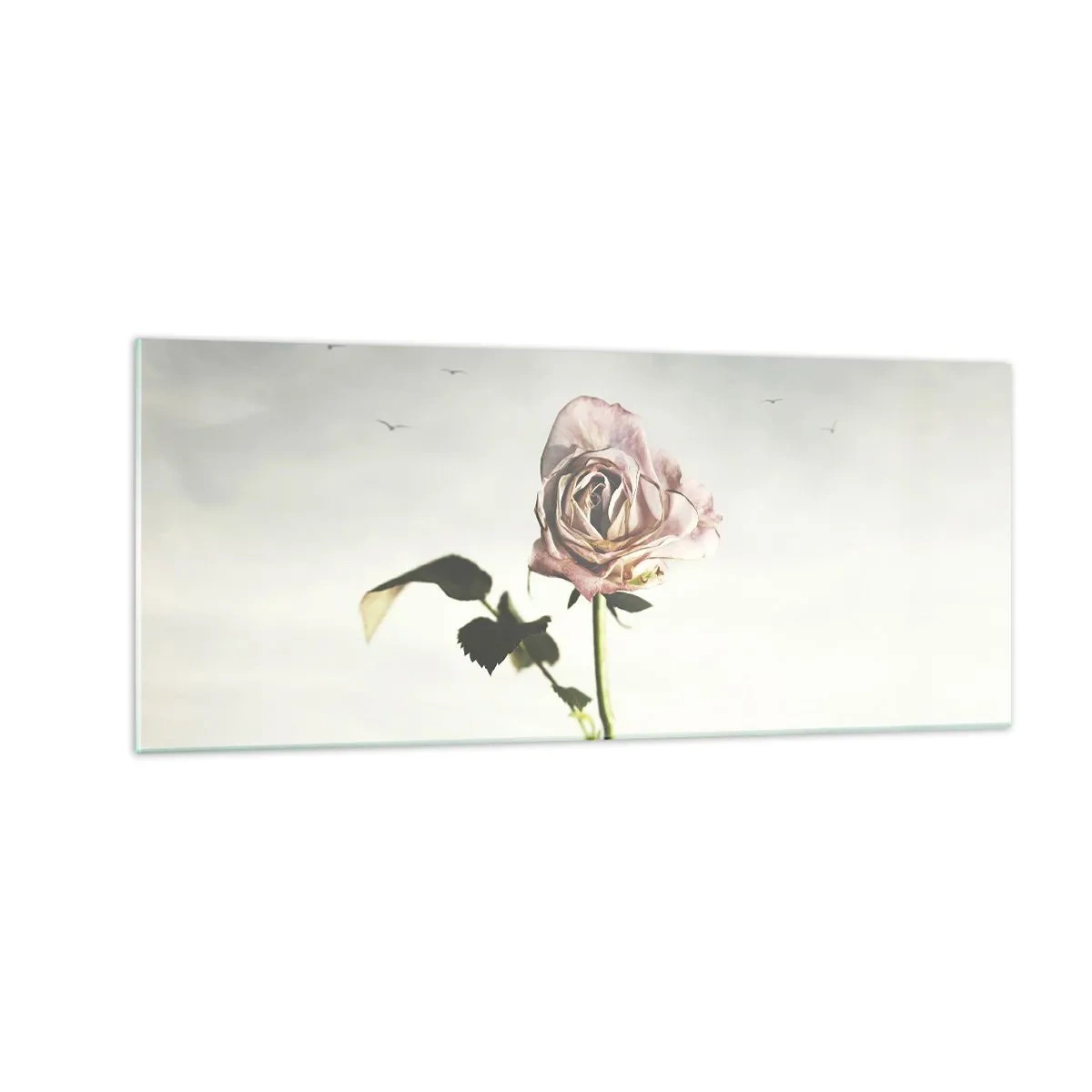 Obraz na szkle - Powitanie wiosny - 100x40 cm