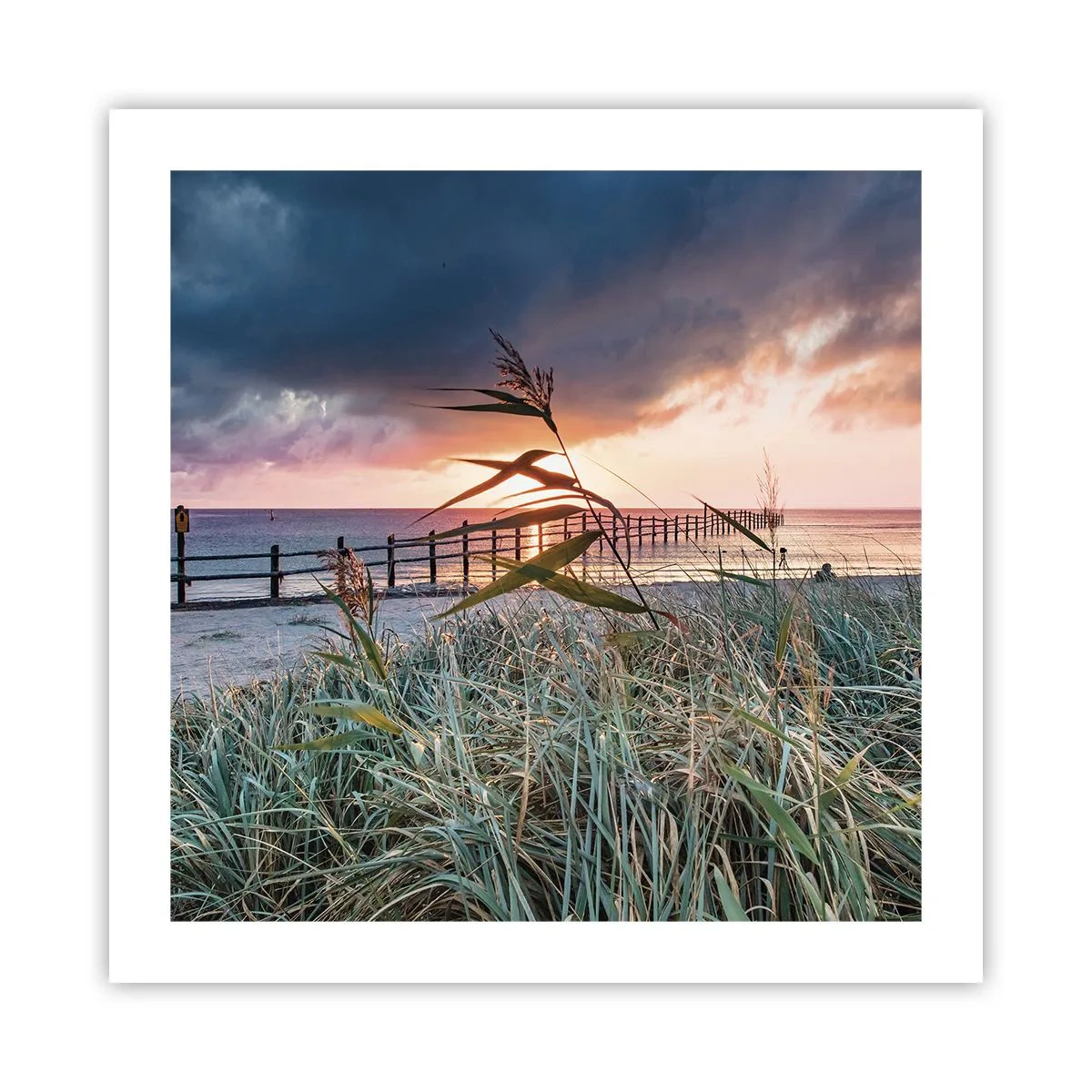 Plakat - Nie przemija z wiatrem - 50x50 cm