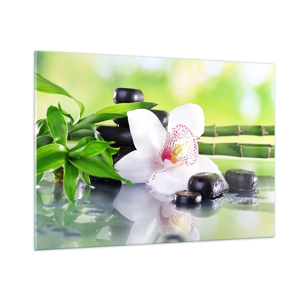 Obraz na szkle - Orchidea, bambus i czarne kamienie na tle zieleni - 100x70cm - Chłodna świeżość - Nowoczesna dekoracja ścienna do salonu, kuchni i sypialni ARTTOR