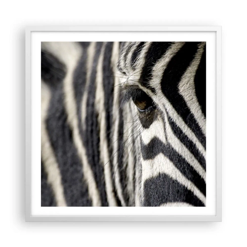 Plakat w białej ramie - Portret w paski - 60x60 cm