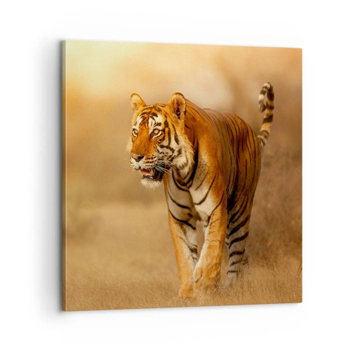 Obraz na płótnie - Przed atakiem - 60x60 cm