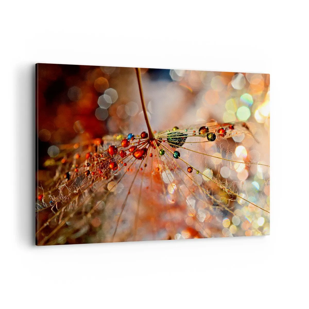 Obraz na płótnie - Makrofotografia kropli wody na delikatnej roślinie - 100x70cm - Nanizane na pajęczą nić - Nowoczesna dekoracja ścienna do salonu, kuchni i sypialni ARTTOR