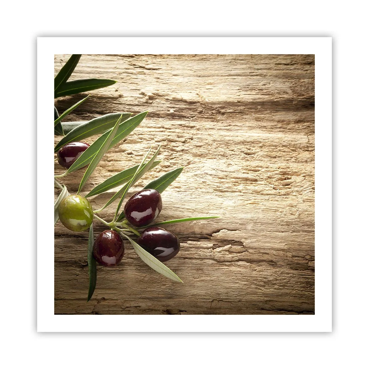 Plakat - Prosto od natury - 60x60 cm