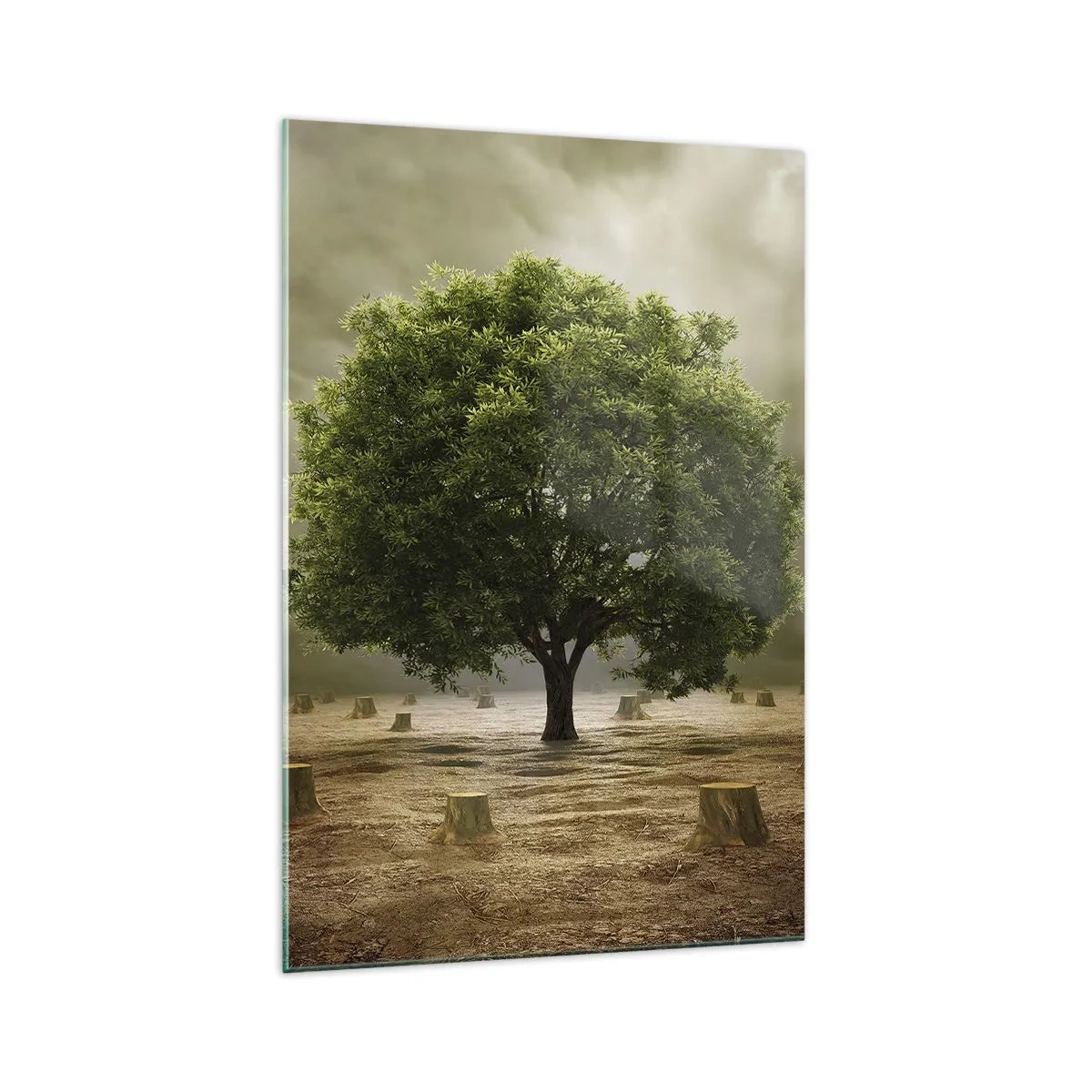 Obraz na szkle - Zielone drzewo otoczone pniami ściętych drzew na tle pochmurnego nieba - 70x100cm - Cała nadzieja - Nowoczesna dekoracja ścienna do salonu i sypialni ARTTOR