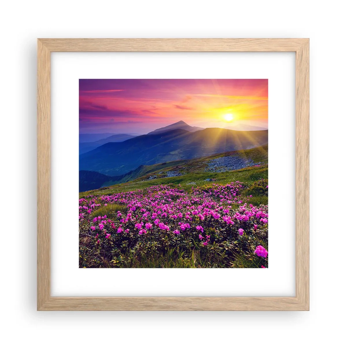 Plakat w ramie jasny dąb - … A dokoła pachnie kosodrzewina i wonieją zioła - 30x30 cm