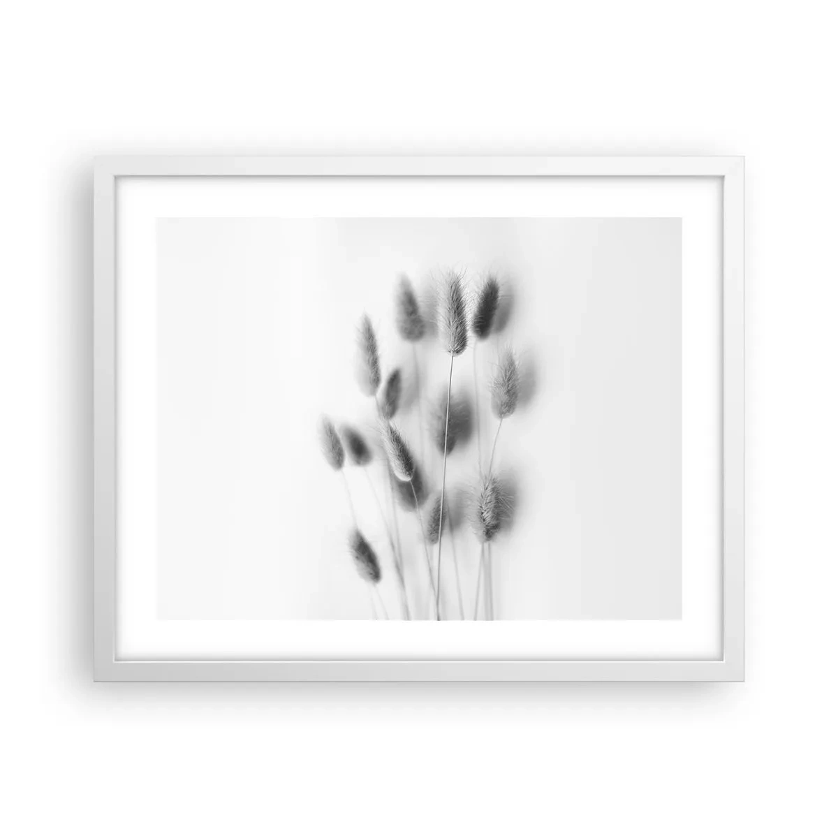 Plakat w białej ramie - Jej puszystość trawa - 50x40 cm