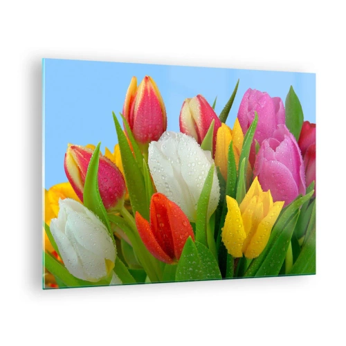 Obraz na szkle - Kolorowe tulipany pokryte kroplami rosy na tle błękitu - 70x50cm - Kwiatowa tęcza w kroplach rosy - Nowoczesna dekoracja ścienna do salonu i sypialni ARTTOR