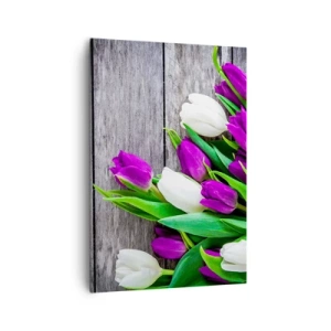 Obraz na płótnie - Bukiet fioletowych i białych tulipanów na drewnianym tle - 70x100cm - W dniu wiosennego święta - Nowoczesna dekoracja ścienna do salonu i sypialni ARTTOR