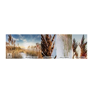 Fototapeta Próbka Standard Eco - Północna plaża - Krajobraz, Morze, Plaża - 100x30 cm