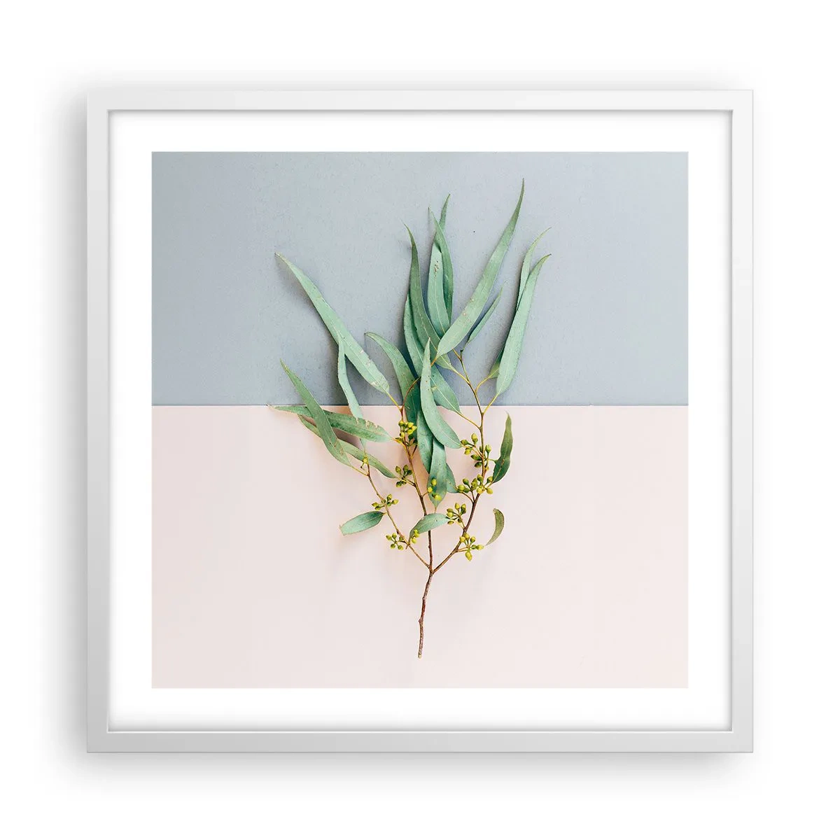 Plakat w białej ramie - Pastelowa subtelność - 50x50 cm