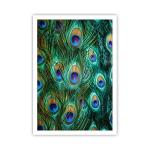 Plakat - Pawiookie spojrzenie - 70x100 cm