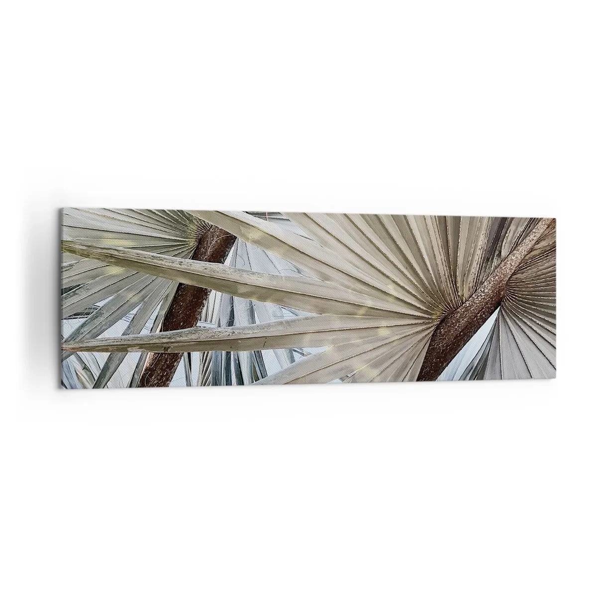 Obraz na płótnie - Liście palmowe w naturalnych odcieniach zieleni na zbliżeniu - 160x50cm - Wachlarze w tropikach - Nowoczesna dekoracja ścienna do salonu i sypialni ARTTOR