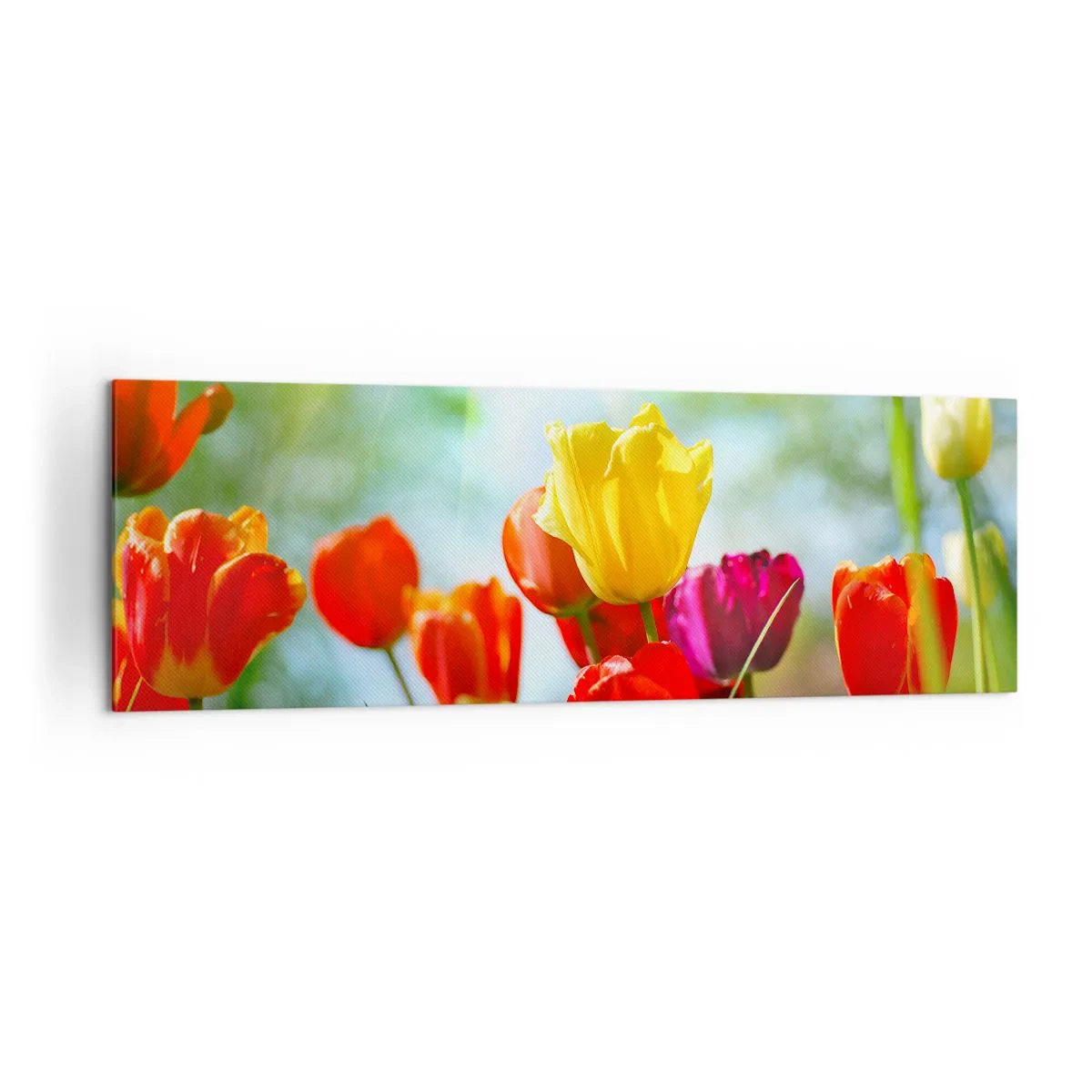 Obraz na płótnie - Kolorowe tulipany w promieniach słońca - 160x50cm - Wszystkie barwy słońca - Nowoczesna dekoracja ścienna do salonu i sypialni ARTTOR