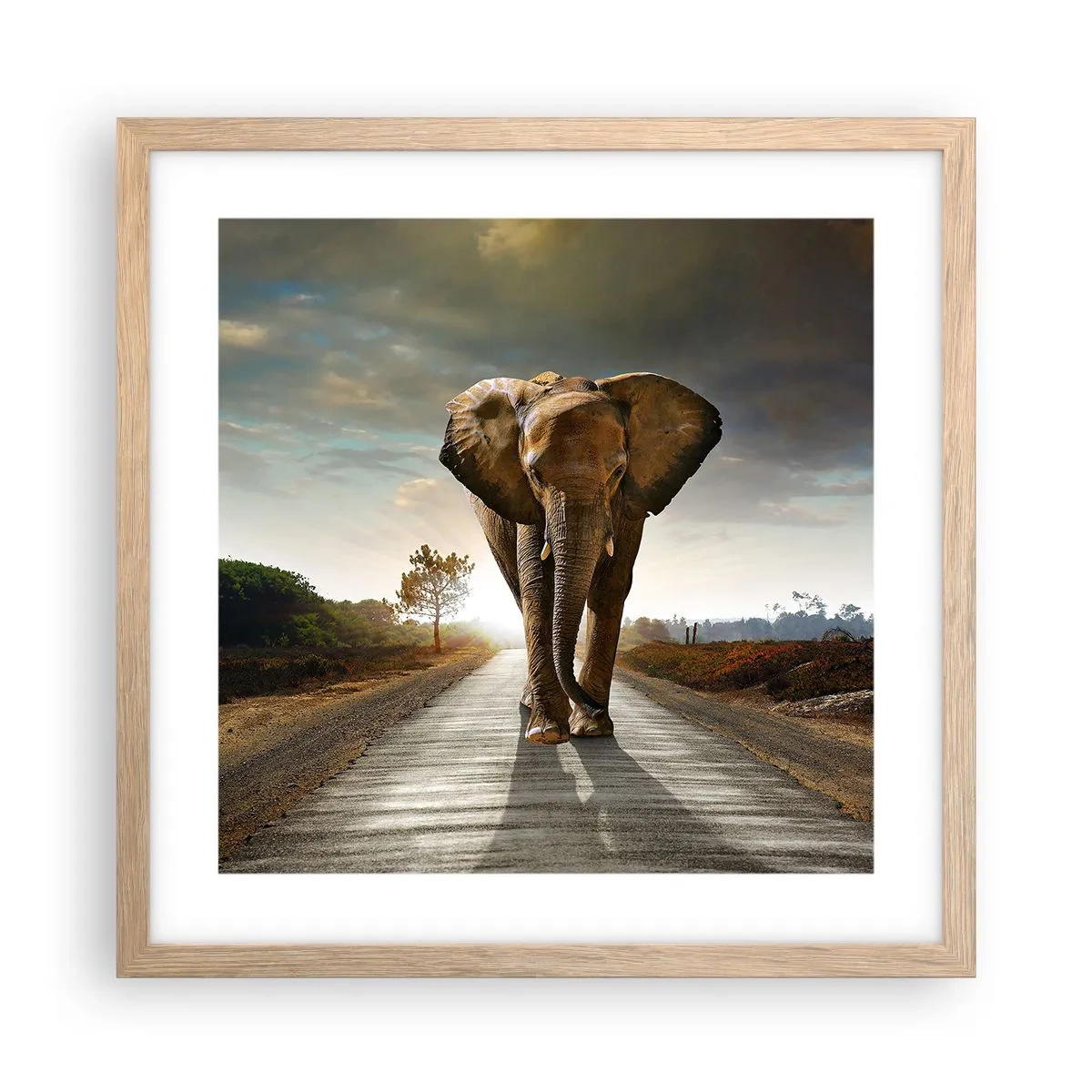 Plakat w ramie jasny dąb - I wcale nie w składzie porcelany - 40x40 cm