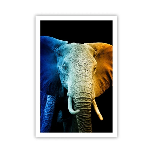 Plakat - Ekscentryk, nie dziwak - 61x91 cm