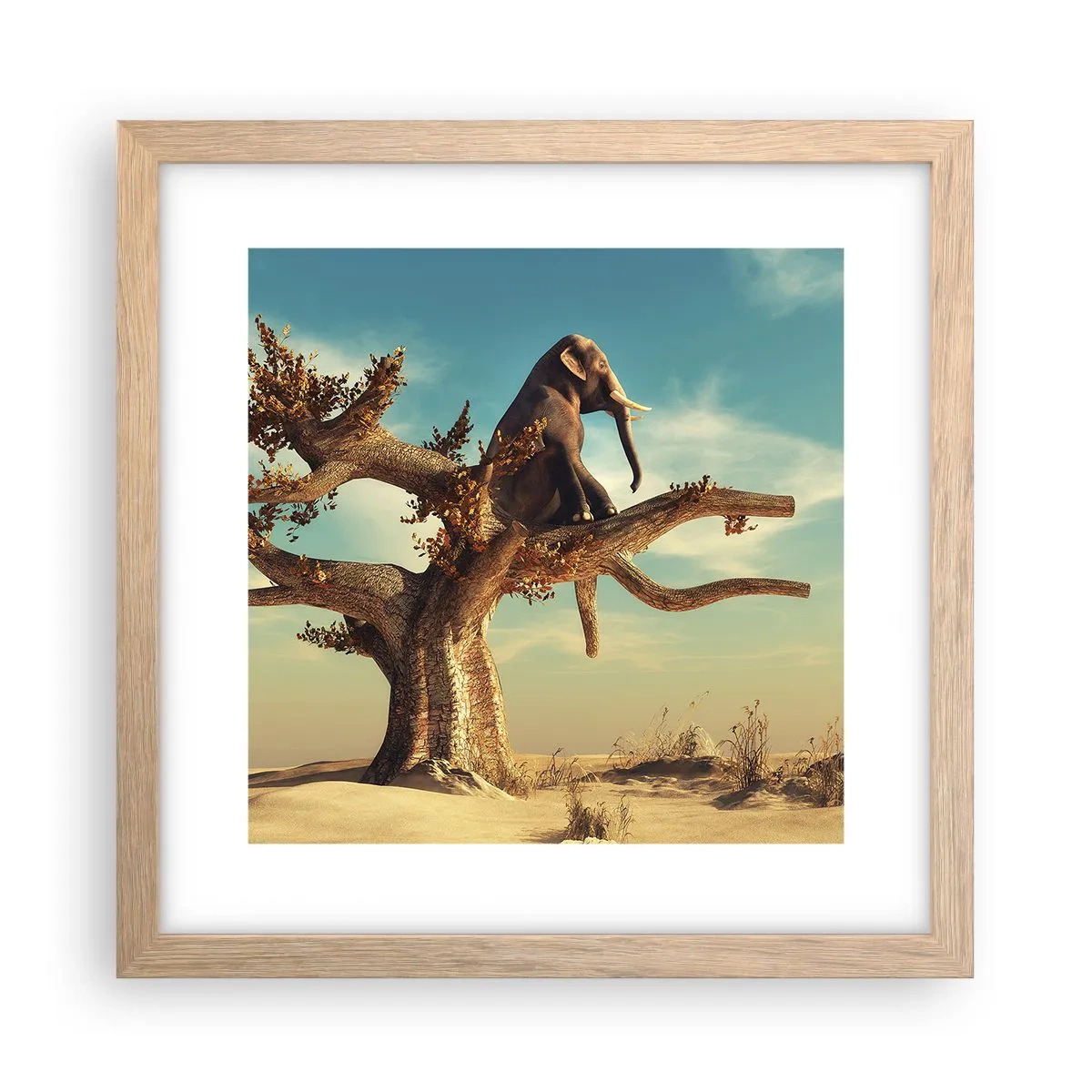 Plakat w ramie jasny dąb - Nowy punkt widzenia - 30x30 cm